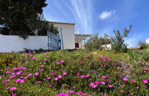 Casa Pedralva - Photo 42