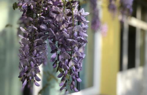 Loft Sottolalbero - Foto 1