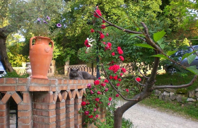 Il Quadrifoglio - Foto 53