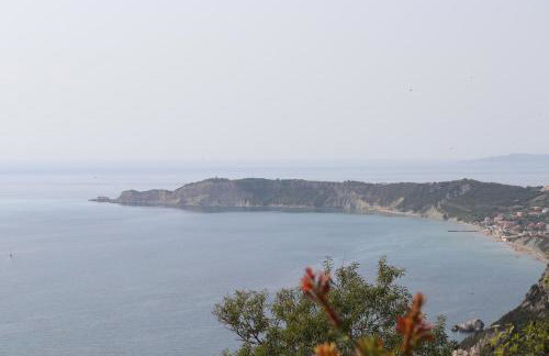 SeasoundStudios - Photo 20