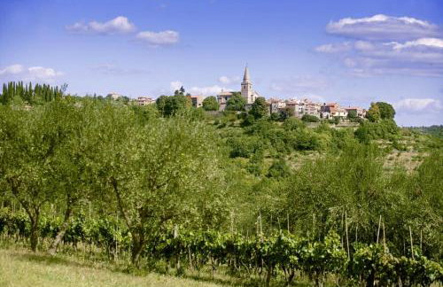 Funtana in Grožnjan (Haus für 2-3 Personen) - Foto 23