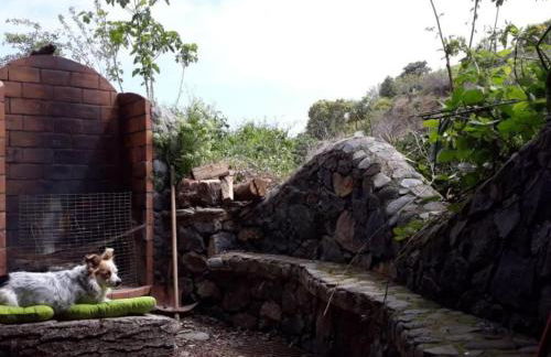 Holiday Home Finca Sunny Scape Rural by Interhome - Foto 39