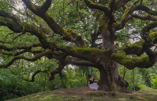 casa Guanita - Foto 10