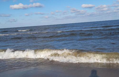 Achterwasser Blick - Foto 39