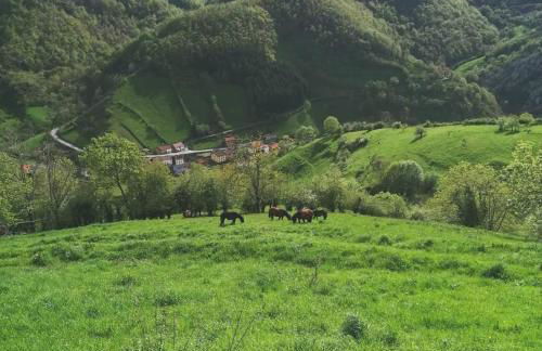 APARTAMENTOS RURALES EL PRIVILEGIO - Foto 6