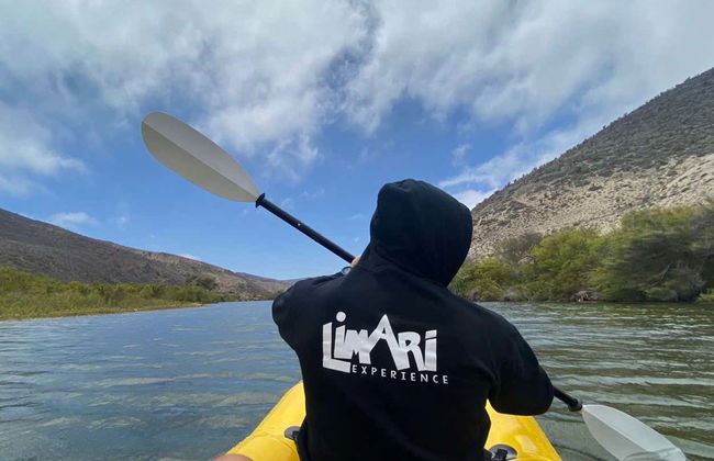 Birdwatching + Kayaking Tour - Photo 2