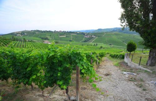 I Grappoli - Foto 28