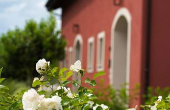 Alle Siepi - Foto 47