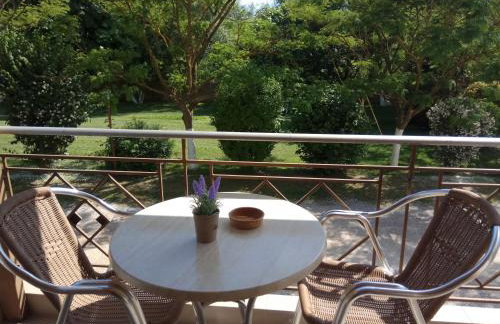 Zisis Garden Studios - Photo 66