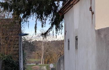 PETIT MAS COSY DU BORD DE LOIRE a 15 MM DU PARC LE PAL - Foto 5