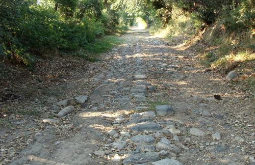 Résidence Santa - Foto 44