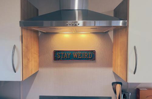 Sandy Nights - Photo 2