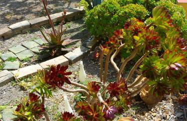 Casa Vacanza Casarcobaleno - Foto 10