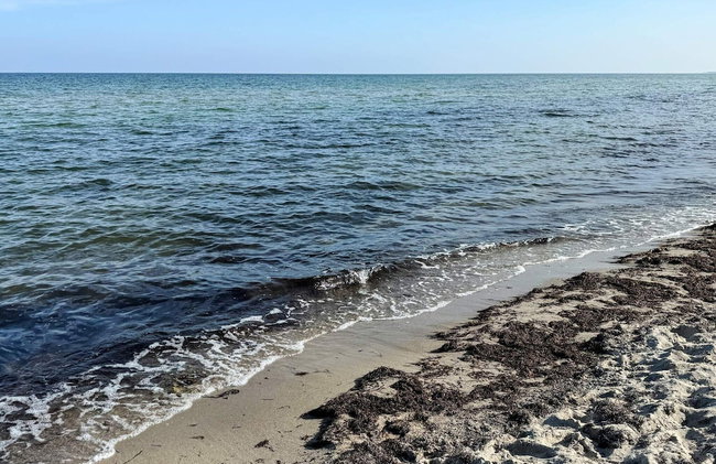 5 Star Holiday Home in Idestrup - Photo 32