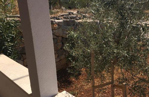 Dream house - Foto 34