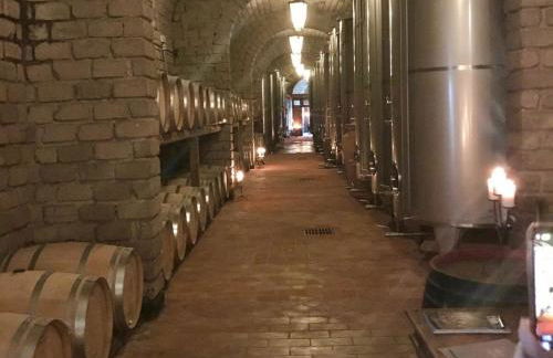 Villa Vinarte Elegant Home 2 Pools Tennis spa Winery Exclusively for you - Foto 72