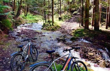 Bale na Skale Chata & SPA-Zawoja - Foto 68