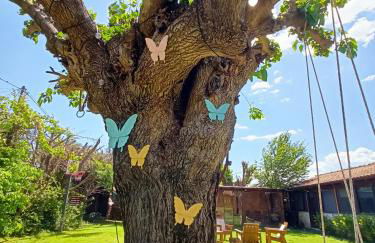 Theopetra Home - Foto 5