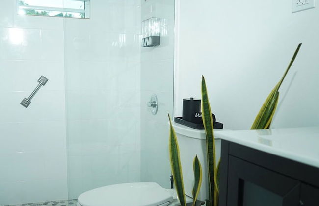 El Yunque Rainforest - Photo 22