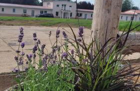 Falkenhof Meisdorf - Foto 1