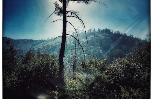 Cozy Rustic Mountain Home with Breathtaking views - Foto 37