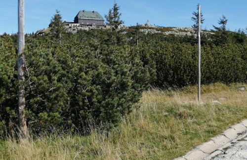 Apartament Zielone Wzgórze 2 - Foto 70