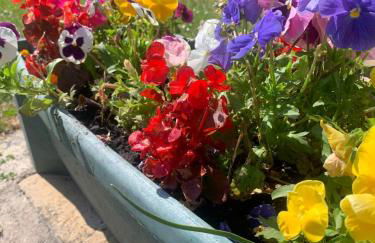 Le Fleur des Champs-St Valery & Le Crotoy à 10min - Foto 15