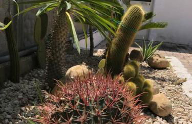 Scala dei Turchi The White Wall - Foto 3