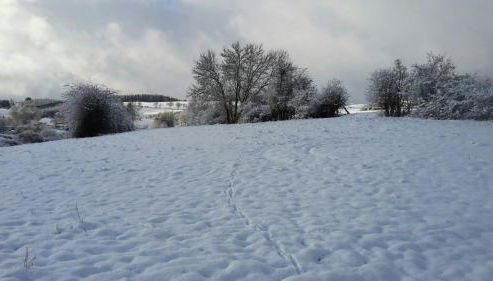 Zur schönen Aussicht - Photo 4
