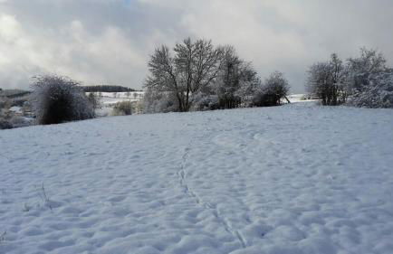 Zur schönen Aussicht - Foto 4