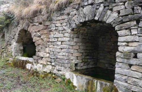 La Colmenita - Foto 13