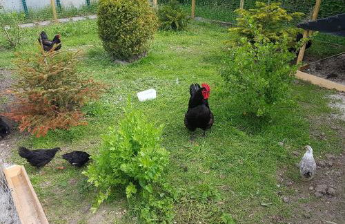 Hausnordlicht FEWO 3 - Foto 16