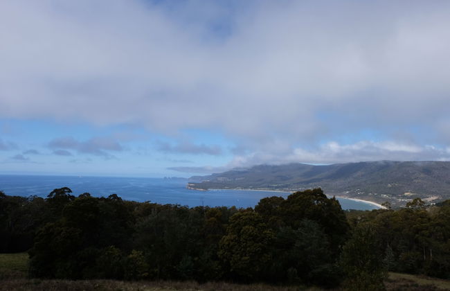 Blossoms on the Bay - 4 Bedrooms - Foto 45