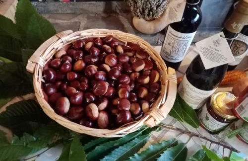 Appartamento Il Salice - Foto 22