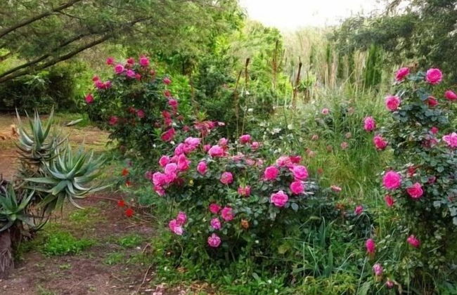 Casa Orsoni - Photo 65