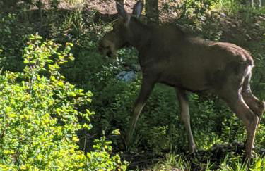 Abode at the Homestead - Foto 61