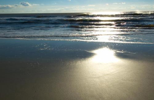 Promenade Overlook - Photo 34