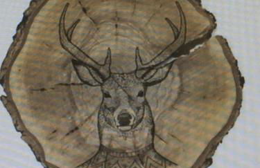 Gîte de la Mésange - Foto 18