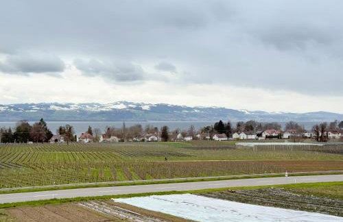 Obst- Und Ferienhof Marschall - Foto 9