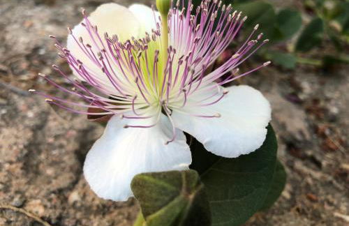 Casa Rural Pernales I - Foto 25