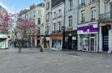 Lysbed - Le Pilori - Foto 20