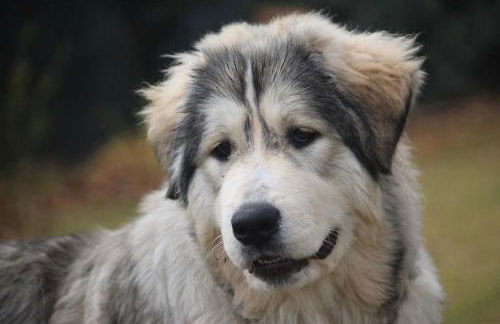 Gites le Pimayon - Foto 72