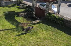 Alborada De San Juan - Foto 5