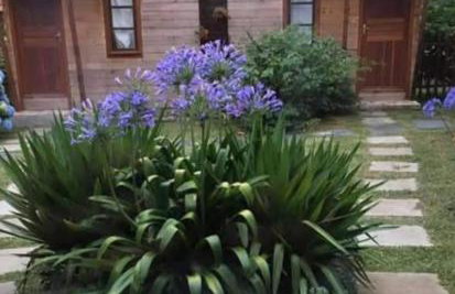 Fazenda Lua Cheia - Coxilha Rica - Foto 3