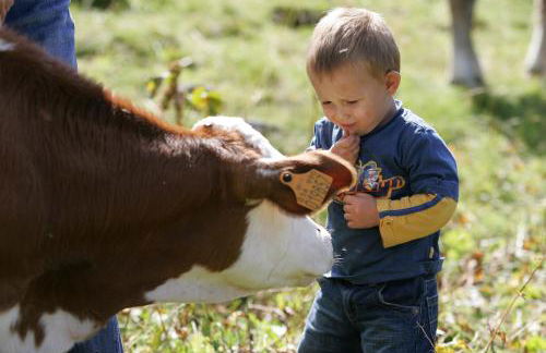 Agriturismo Stella Orobica - Foto 33