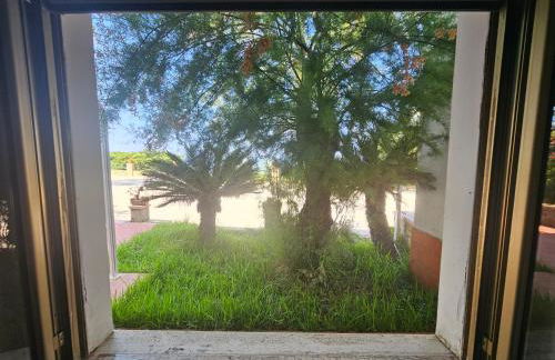 Da mia zia - Foto 75