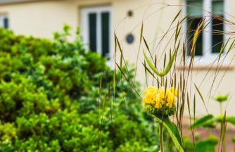 Passion Flower Cottage - Photo 60