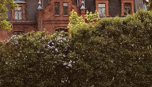 Raben Steinfeld Forststrasse Am Residence-Park - Foto 4