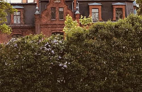 Raben Steinfeld Forststrasse Am Residence-Park - Foto 4