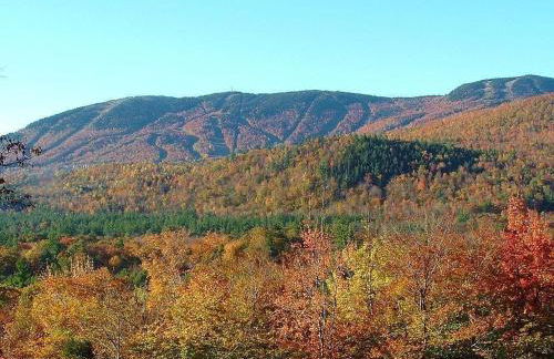 SUNDAY RIVER VIEWS!! Minutes from the mountain! - Foto 31